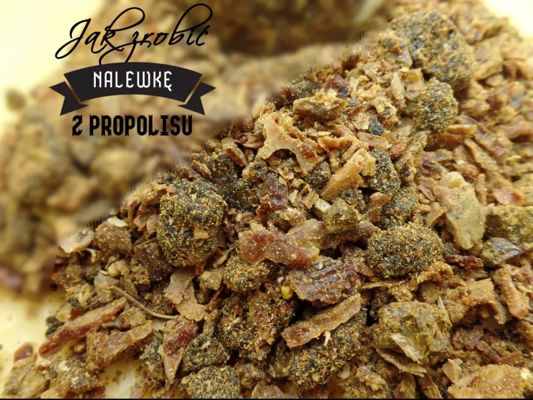 Jak zażywać propolis na spirytusie? Dawkowanie i bezpieczeństwo