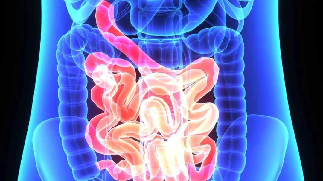 Leniwe jelita? Pobudź perystaltykę: dieta, ruch i zioła!